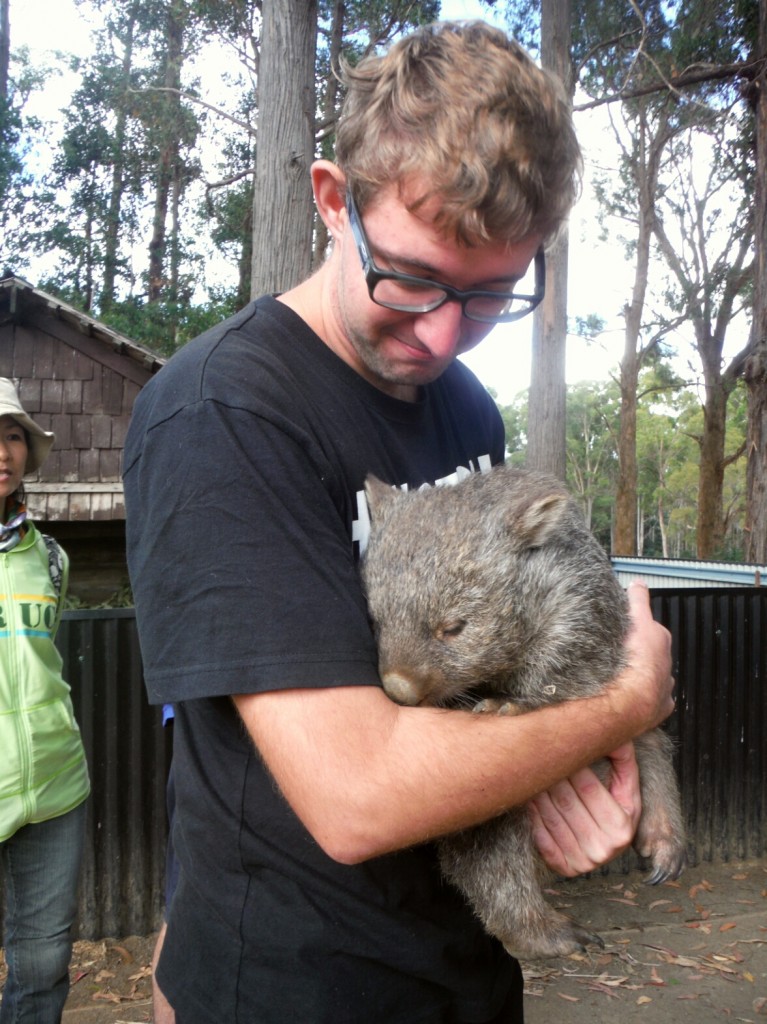 Mały wombat w Trowunna