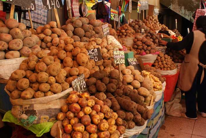 Wybór ziemniaków na targu w Arequipie