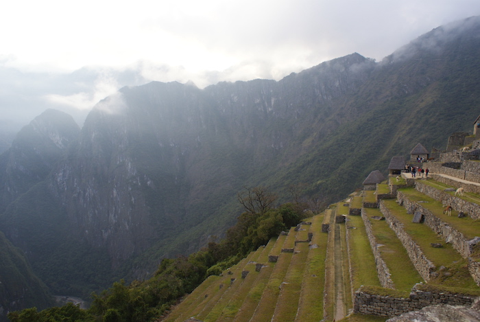 Tarasy uprawne w Machu Picchu